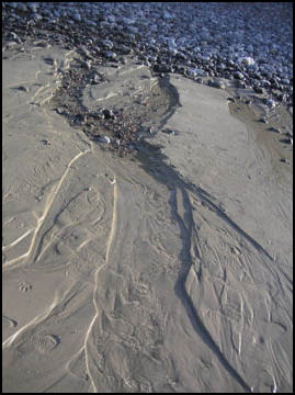 responsabilite sillons